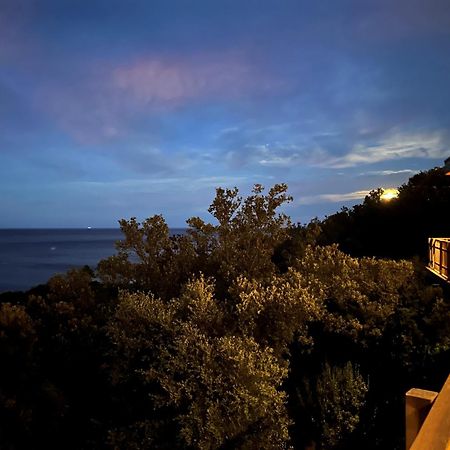 Villa L'Alpana En Bois Vue Mer A 180 Degres Сари Соленцара Екстериор снимка